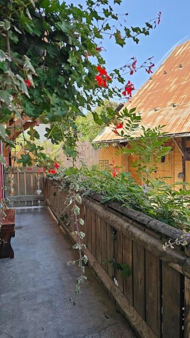 Le Banc Des Seilles Vila Bonvillard Exterior foto